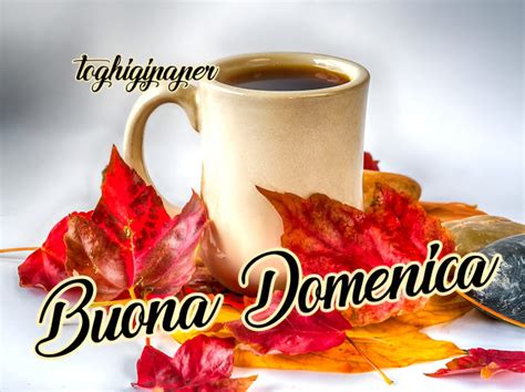 immagini di buona domenica autunnale|buona domenica autunnale.